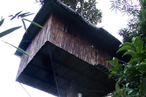 كالباتّا Coffee Acres Plantation Resort الغرفة الصورة