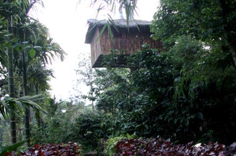 كالباتّا Coffee Acres Plantation Resort الغرفة الصورة